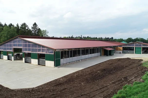 Kuhstall auf Gut Hülsenberg Kuhstall auf Gut Hülsenberg