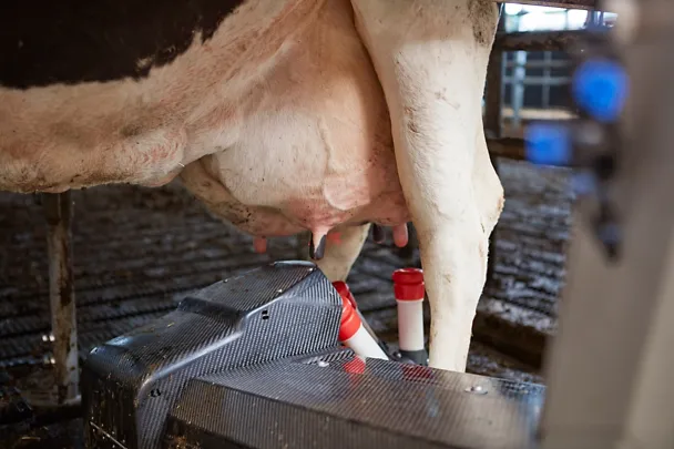 Melkroboter auf Gut Hülsenberg Melkroboter auf Gut Hülsenberg