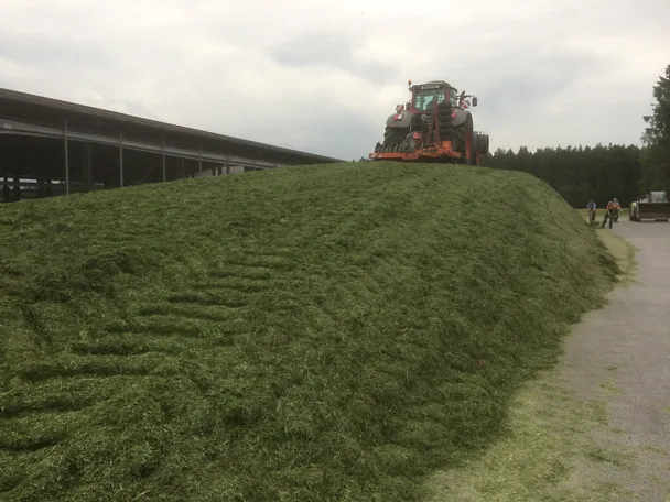 Silo auf Gut Hülsenberg Silo auf Gut Hülsenberg