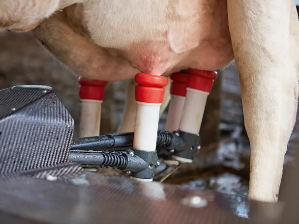 de_gh_pn_2020_lkv_jahresabschluss_2019_4_3