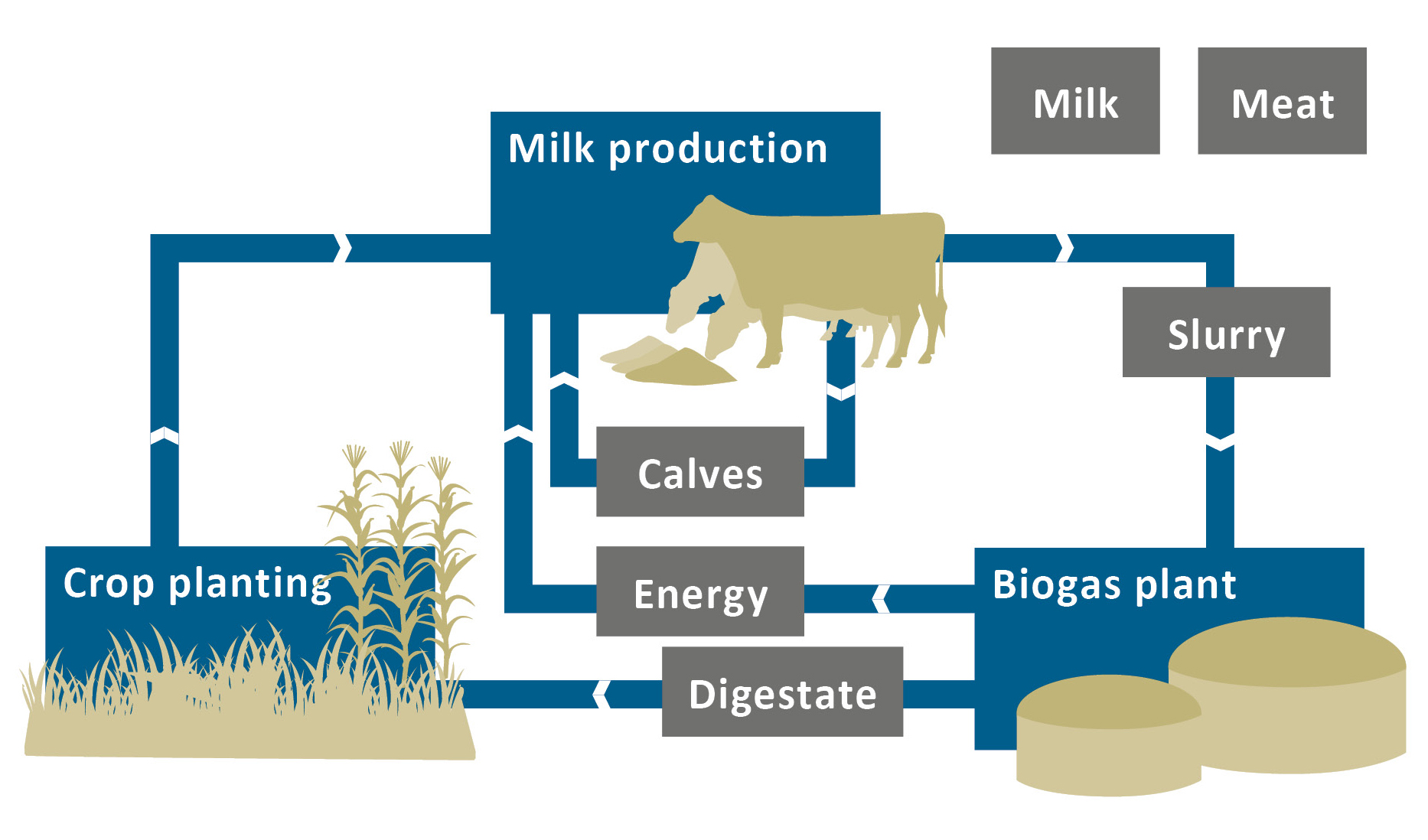 Vereinfachte Darstellung des Produktionskreislaufs von Gut Hülsenberg