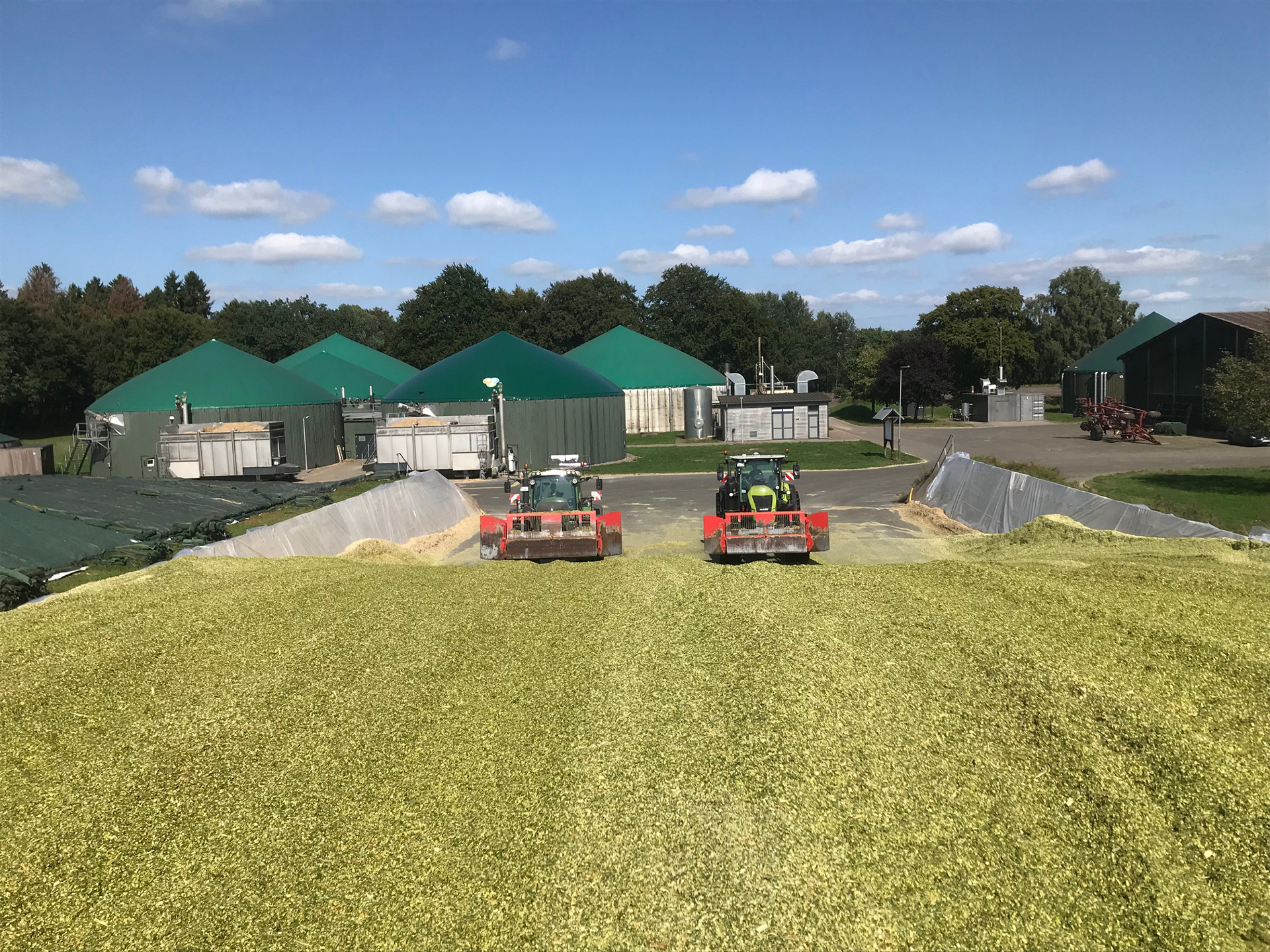 Maissilage wird verdichtet Maissilage wird verdichtet