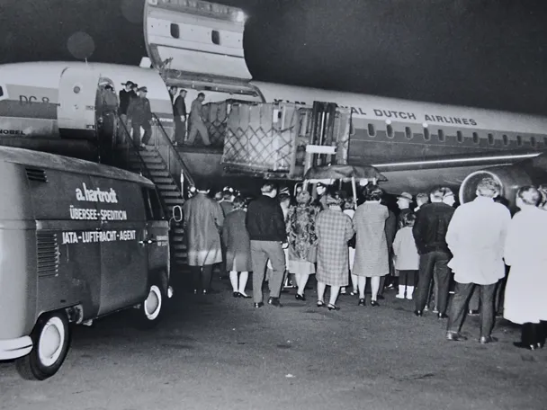 Import of the first Holstein cow