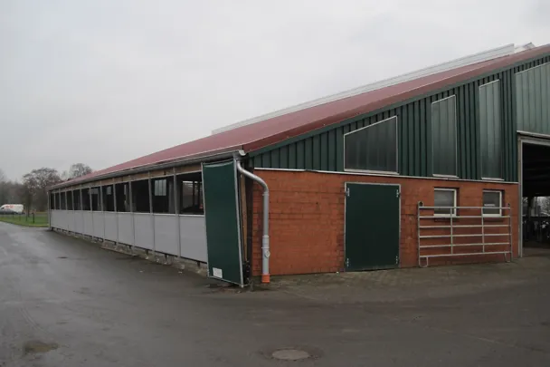 Young cattle shed Young cattle shed
