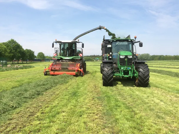 1st cut of grass 1st cut of grass