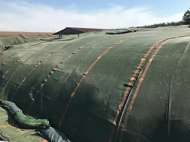 Silage