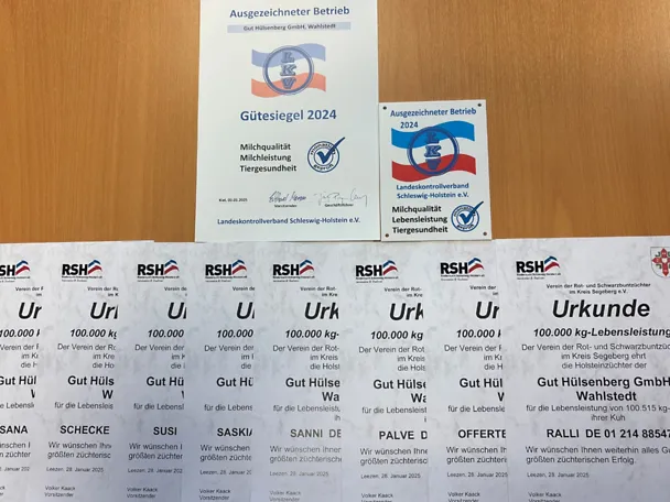 Certificates of our best cows