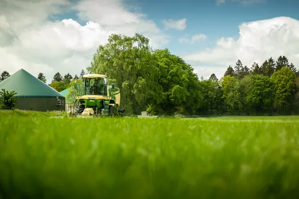 Grass harvest