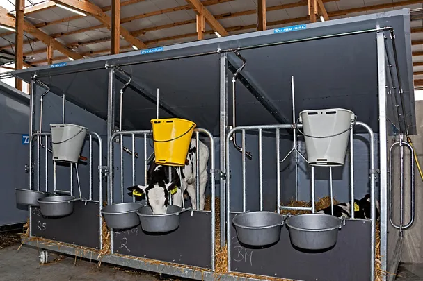 Einzeboxen Einzeboxen