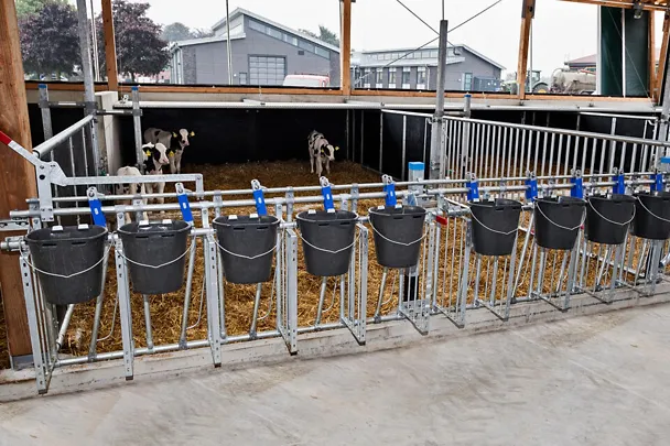 Kälberstall Kälberstall