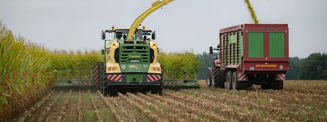 Maize harvest at Gut Hülsenberg
