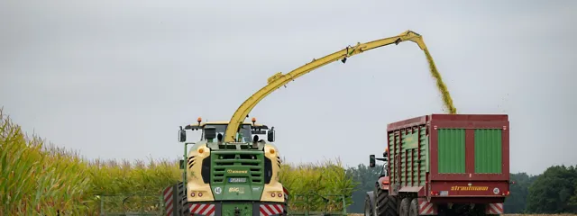 Maize harvest at Gut Hülsenberg
