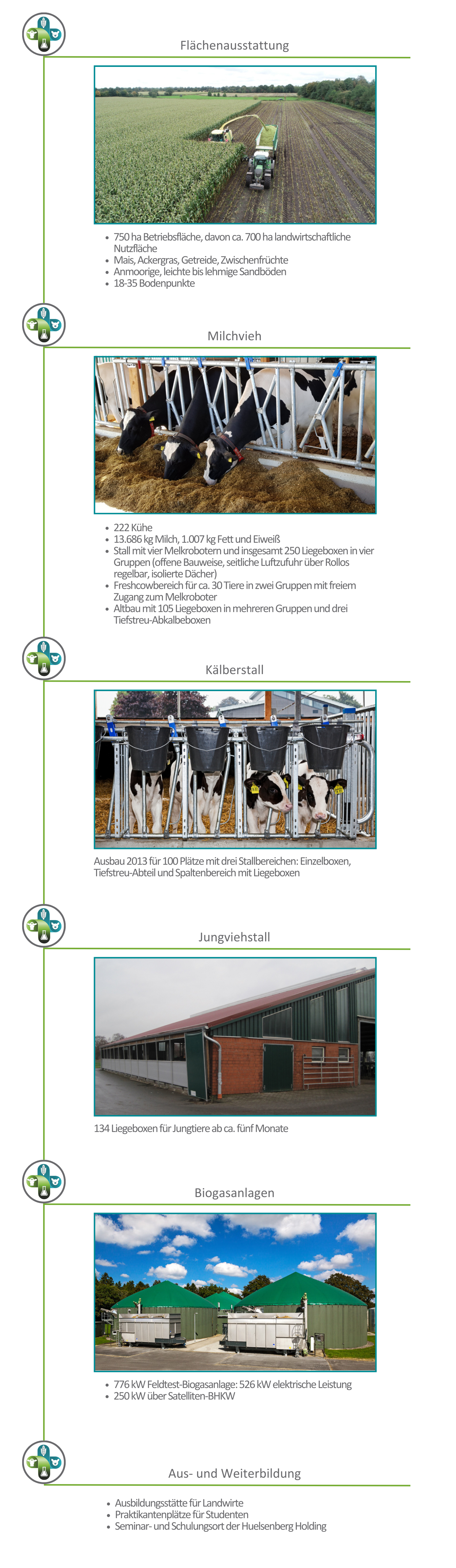 Betriebsspiegel_GH_DE Betriebsspiegel_GH_DE