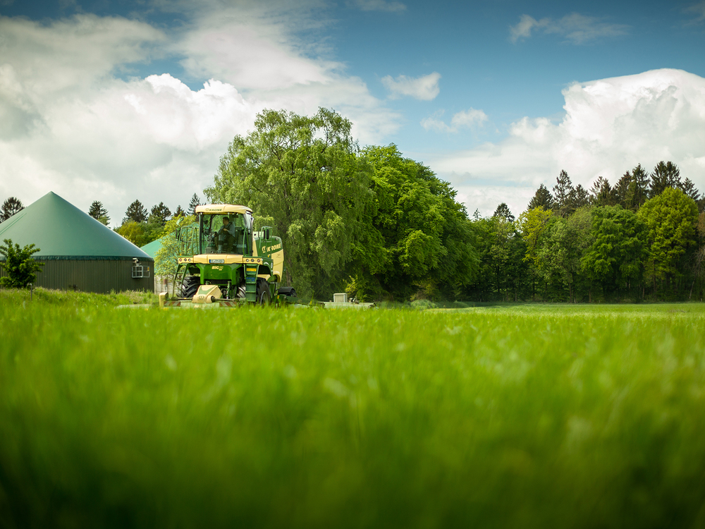 Gras mähen